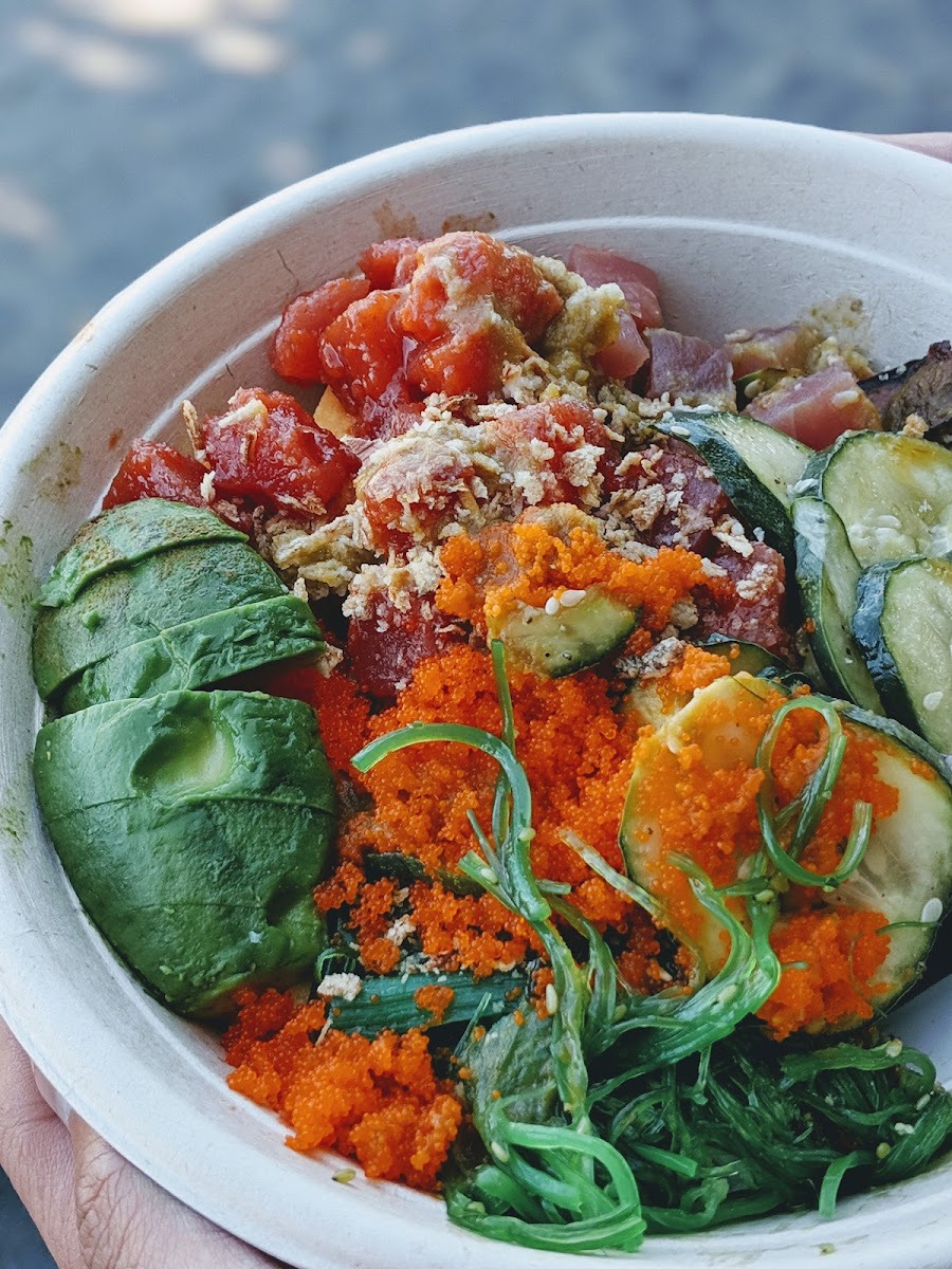 Bamboo Asia Photos 2